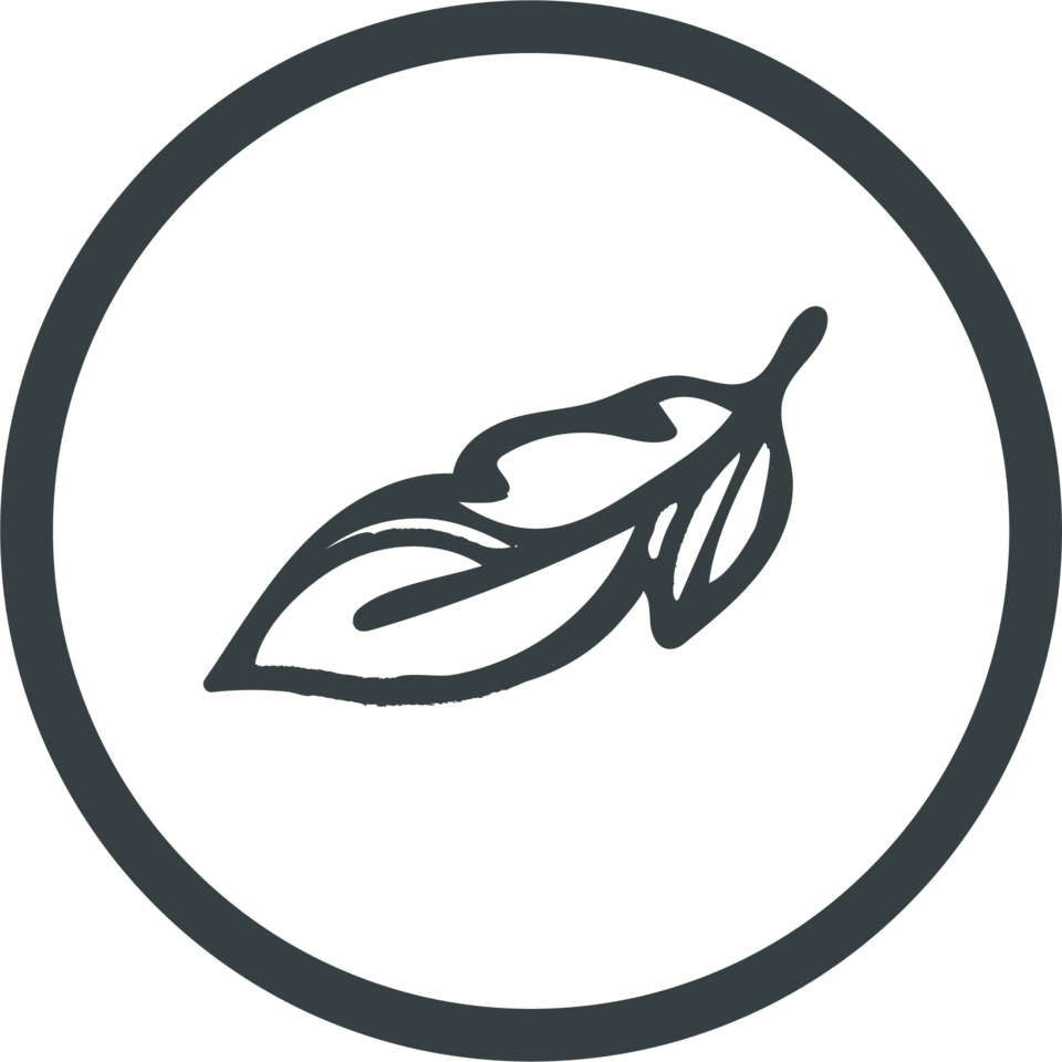 Sensitive Skin Friendly